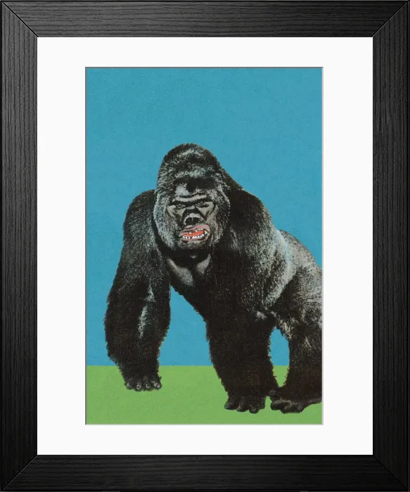 Framed Print : Gorilla. http: / / csaimages.com / images / istockprofile / csa_vector_dsp.jpg Framed Print : Gorilla. http: / / csaimages.com / images / istockprofile / csa_vector_dsp.jpg