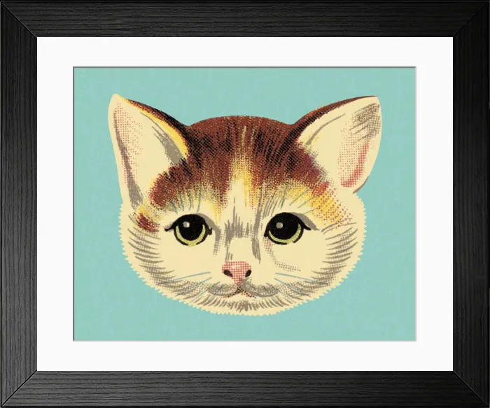 Framed Print : Face of a Cat Framed Print : Face of a Cat