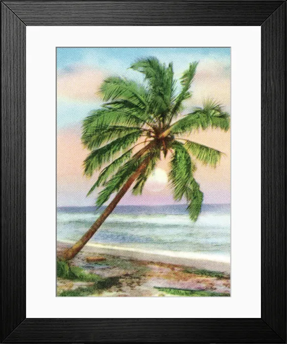 Framed Print : Tropical Sunset Framed Print : Tropical Sunset