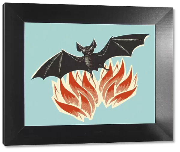 Bat Flying Out of Flames