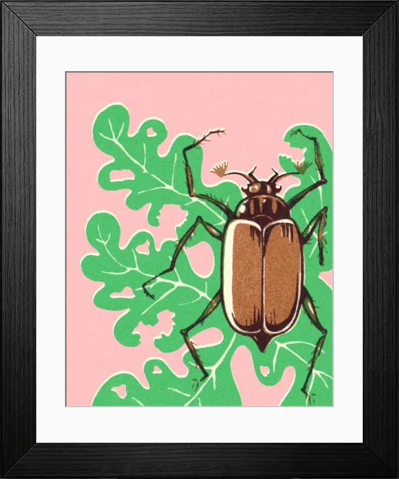 Framed Print : Beetle on Leaf Framed Print : Beetle on Leaf