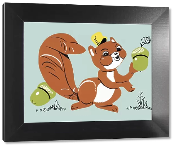 Squirrel. http: /  / csaimages.com / images / istockprofile / csa_vector_dsp.jpg