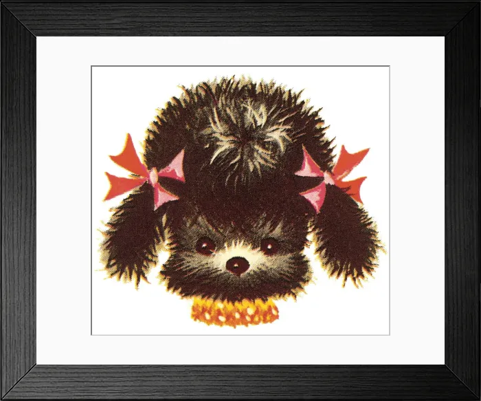 Framed Print : Poodle puppy Framed Print : Poodle puppy