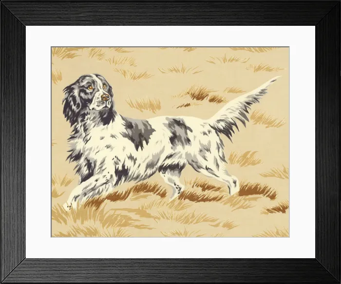 Framed Print : Hunting Dog Framed Print : Hunting Dog