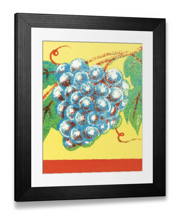 Framed Print : Grapes. http: / / csaimages.com / images / istockprofile / csa_vector_dsp.jpg Framed Print : Grapes. http: / / csaimages.com / images / istockprofile / csa_vector_dsp.jpg