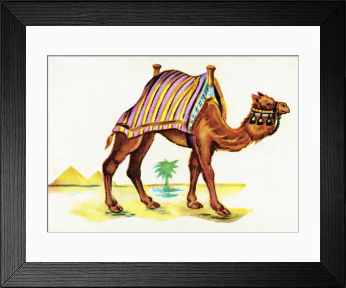 Framed Print : Camel. http: / / csaimages.com / images / istockprofile / csa_vector_dsp.jpg Framed Print : Camel. http: / / csaimages.com / images / istockprofile / csa_vector_dsp.jpg