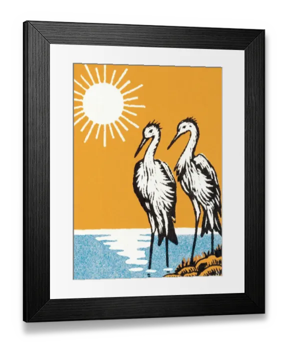 Framed Print : Two egrets Framed Print : Two egrets