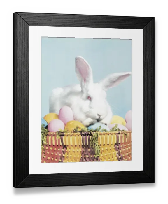 Framed Print : Easter bunny