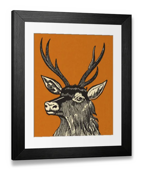Framed Print : Elk. http: / / csaimages.com / images / istockprofile / csa_vector_dsp.jpg Framed Print : Elk. http: / / csaimages.com / images / istockprofile / csa_vector_dsp.jpg
