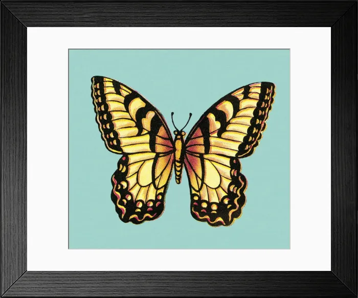 Framed Print : Butterfly. http: / / csaimages.com / images / istockprofile / csa_vector_dsp.jpg Framed Print : Butterfly. http: / / csaimages.com / images / istockprofile / csa_vector_dsp.jpg