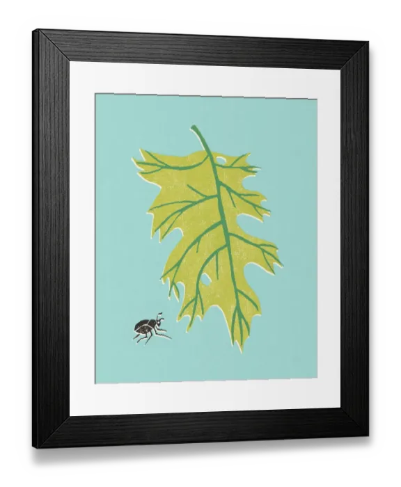Framed Print : Leaf and a Bug Framed Print : Leaf and a Bug