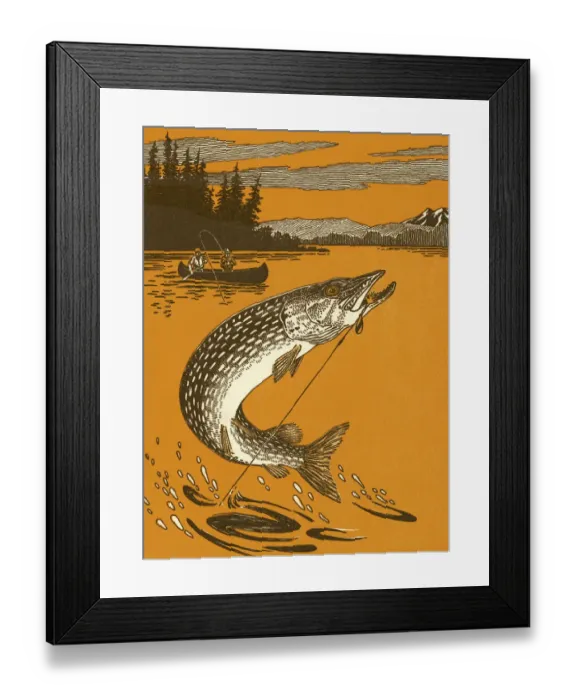 Framed Print : Fish on Hook Framed Print : Fish on Hook