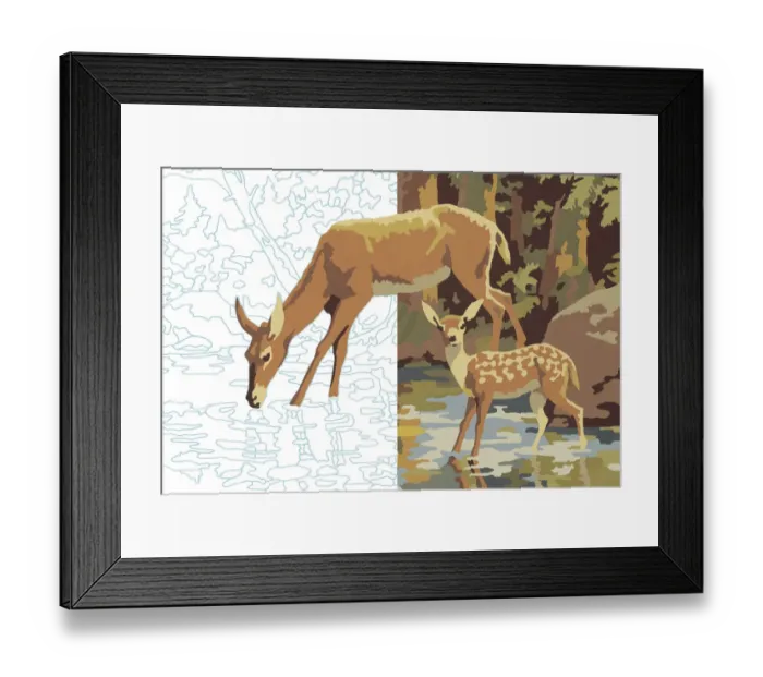 Framed Print : Deer Drinking Framed Print : Deer Drinking