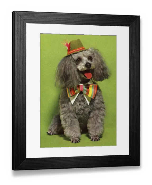 Framed Print : Dog Wearing Hat and Bowtie Framed Print : Dog Wearing Hat and Bowtie