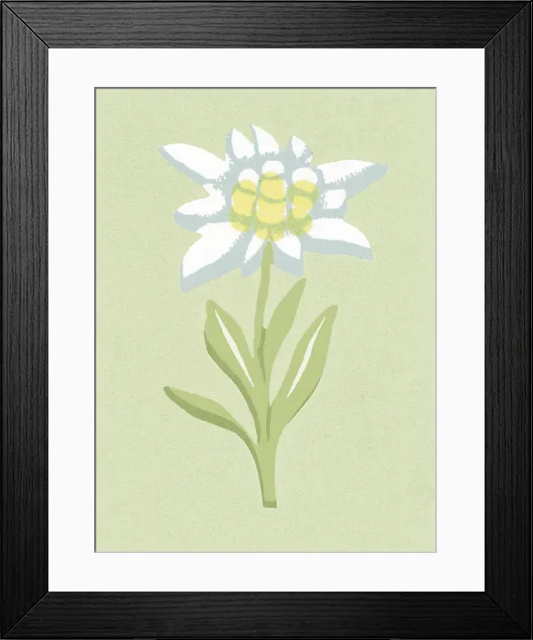 Framed Print : One Flower Framed Print : One Flower
