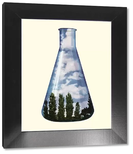 Environmental Flask
