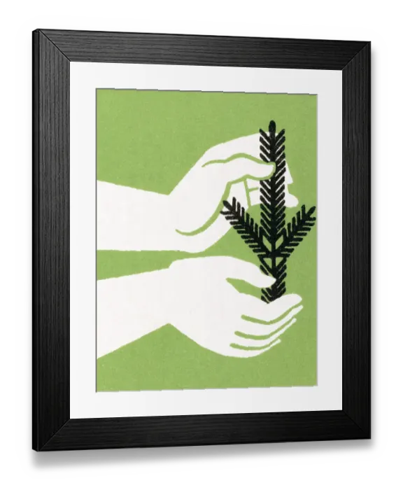 Framed Print : Pine branch in hand Framed Print : Pine branch in hand