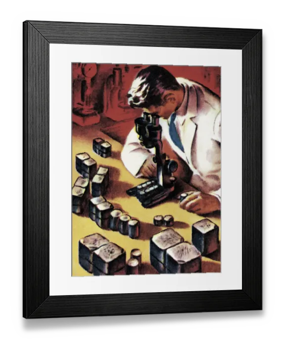 Framed Print : Scientist Looking Through a Microscope Framed Print : Scientist Looking Through a Microscope