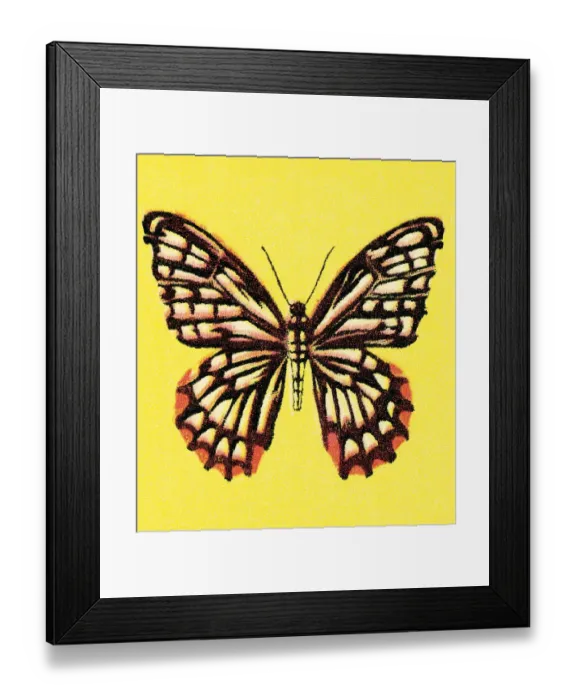 Framed Print : Butterfly. http: /  / csaimages.com / images / istockprofile / csa_vector_dsp.jpg