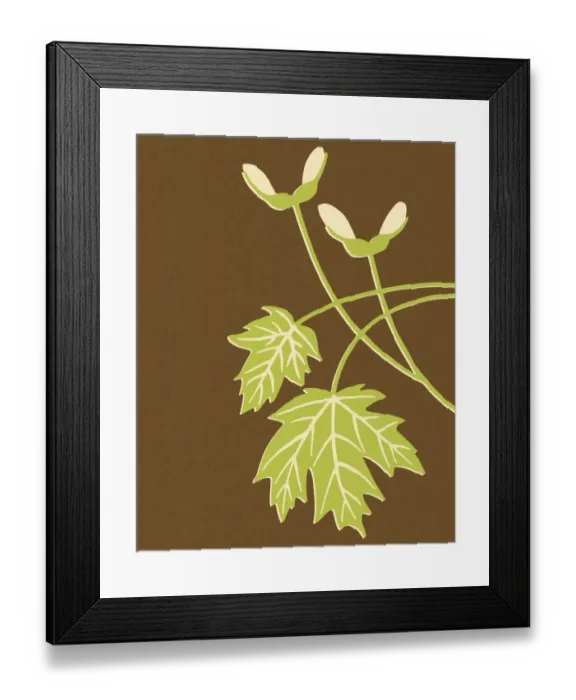 Framed Print : Spring Leaves Framed Print : Spring Leaves