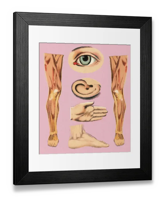 Framed Print : Body Parts Framed Print : Body Parts