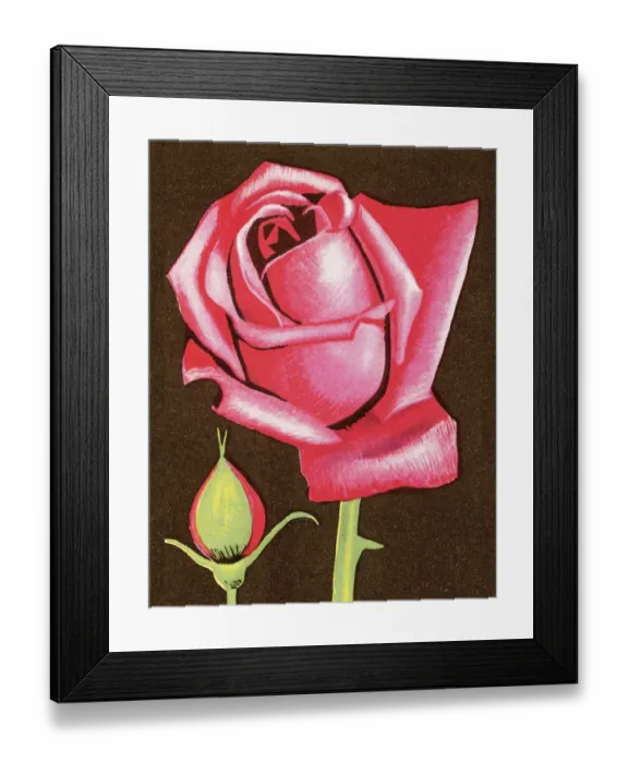 Framed Print : Rose. http: / / csaimages.com / images / istockprofile / csa_vector_dsp.jpg Framed Print : Rose. http: / / csaimages.com / images / istockprofile / csa_vector_dsp.jpg