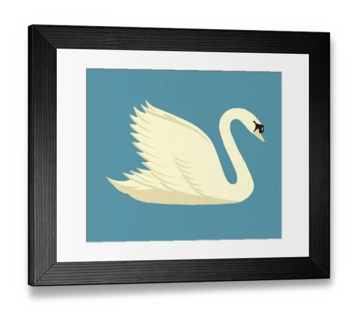 Framed Print : White Swan Framed Print : White Swan