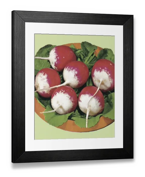 Framed Print : Radishes. http: / / csaimages.com / images / istockprofile / csa_vector_dsp.jpg Framed Print : Radishes. http: / / csaimages.com / images / istockprofile / csa_vector_dsp.jpg