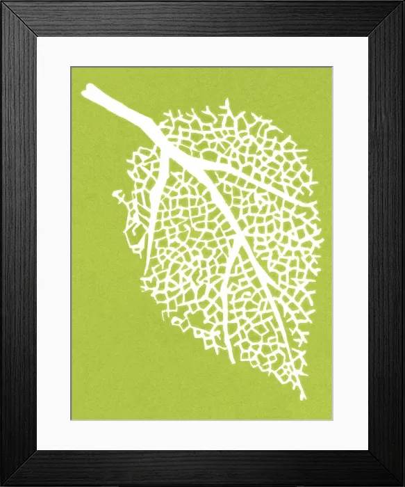 Framed Print : Leaf. http: / / csaimages.com / images / istockprofile / csa_vector_dsp.jpg Framed Print : Leaf. http: / / csaimages.com / images / istockprofile / csa_vector_dsp.jpg