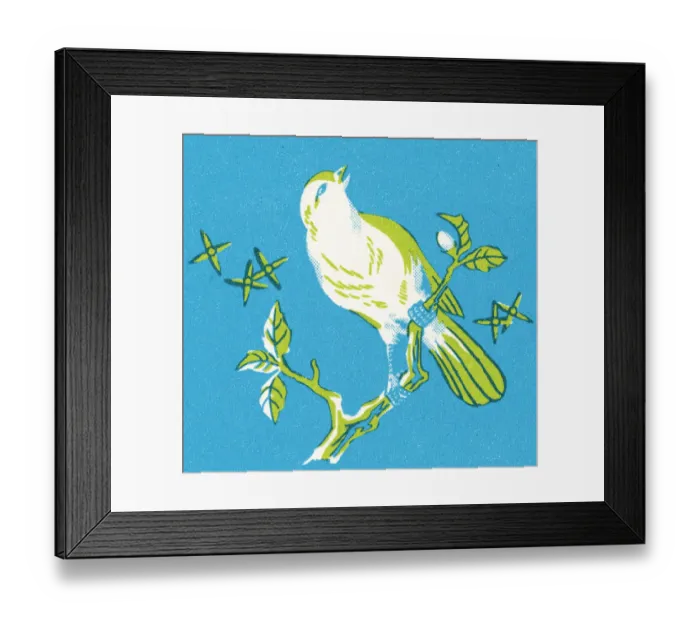 Framed Print : Bird. http: / / csaimages.com / images / istockprofile / csa_vector_dsp.jpg Framed Print : Bird. http: / / csaimages.com / images / istockprofile / csa_vector_dsp.jpg