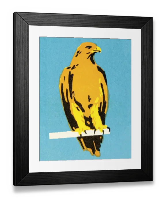 Framed Print : Falcon. http: / / csaimages.com / images / istockprofile / csa_vector_dsp.jpg Framed Print : Falcon. http: / / csaimages.com / images / istockprofile / csa_vector_dsp.jpg