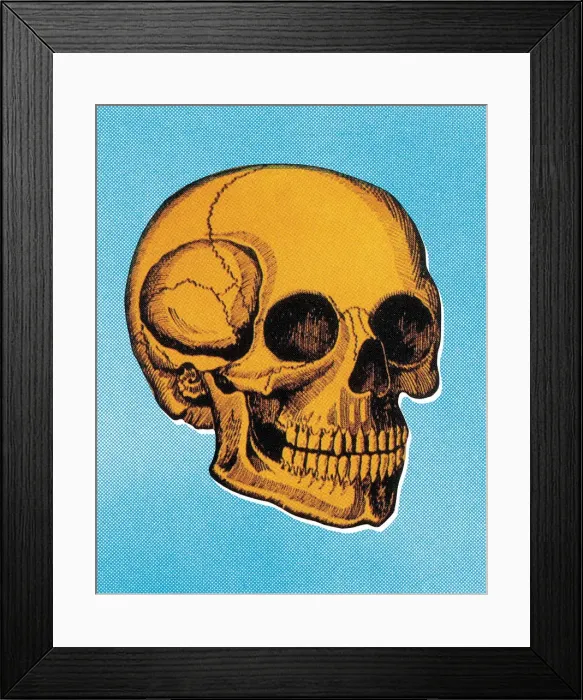 Framed Print : Skull. http: / / csaimages.com / images / istockprofile / csa_vector_dsp.jpg Framed Print : Skull. http: / / csaimages.com / images / istockprofile / csa_vector_dsp.jpg