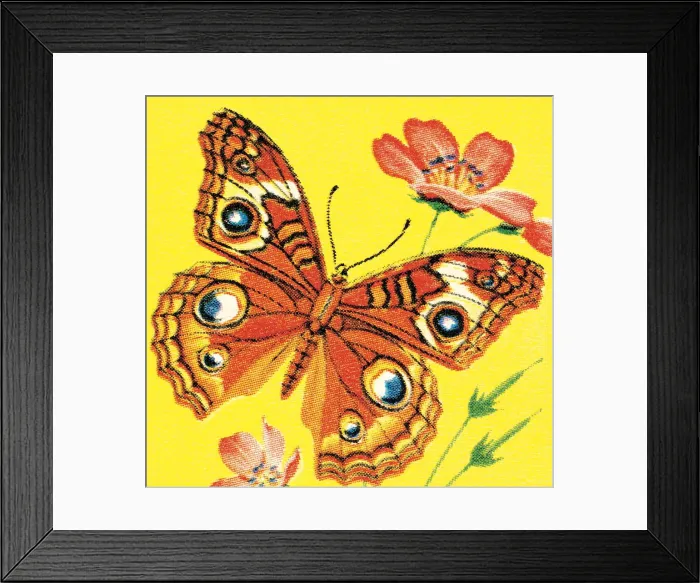Framed Print : Butterfly. http: / / csaimages.com / images / istockprofile / csa_vector_dsp.jpg Framed Print : Butterfly. http: / / csaimages.com / images / istockprofile / csa_vector_dsp.jpg