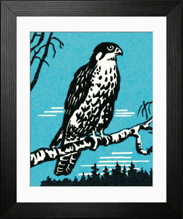 Framed Print : Falcon. http: / / csaimages.com / images / istockprofile / csa_vector_dsp.jpg Framed Print : Falcon. http: / / csaimages.com / images / istockprofile / csa_vector_dsp.jpg