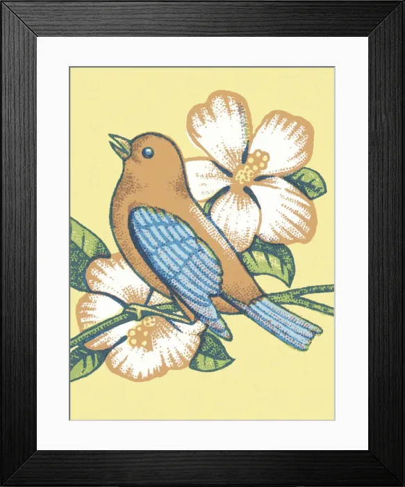 Framed Print : Bird and Blossoms Framed Print : Bird and Blossoms