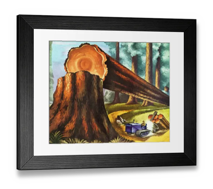 Framed Print : Lumber Industry Framed Print : Lumber Industry