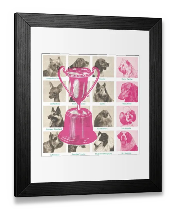 Framed Print : Dog show trophy Framed Print : Dog show trophy