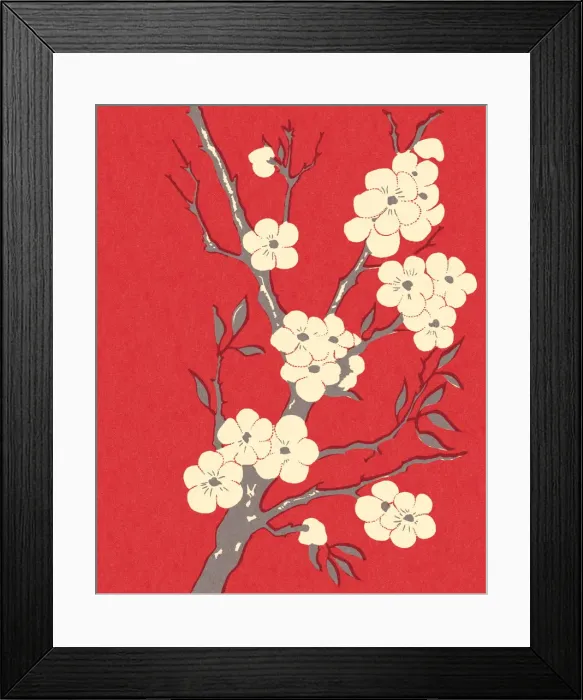 Framed Print : Cherry Blossoms Framed Print : Cherry Blossoms