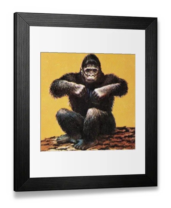 Framed Print : Gorilla. http: /  / csaimages.com / images / istockprofile / csa_vector_dsp.jpg