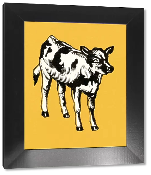 Cow. http: /  / csaimages.com / images / istockprofile / csa_vector_dsp.jpg