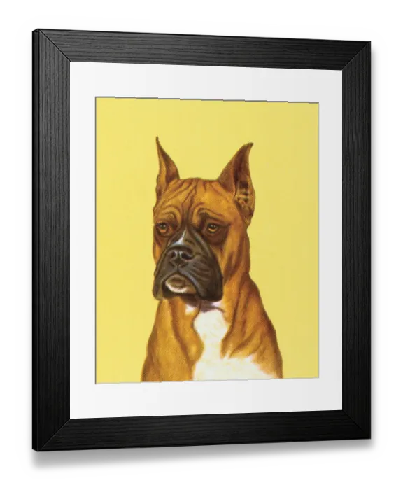 Framed Print : Dog. http: / / csaimages.com / images / istockprofile / csa_vector_dsp.jpg Framed Print : Dog. http: / / csaimages.com / images / istockprofile / csa_vector_dsp.jpg