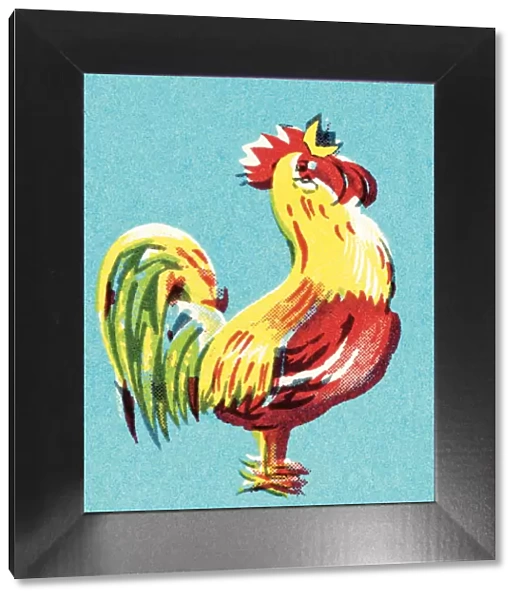 Rooster. http: /  / csaimages.com / images / istockprofile / csa_vector_dsp.jpg