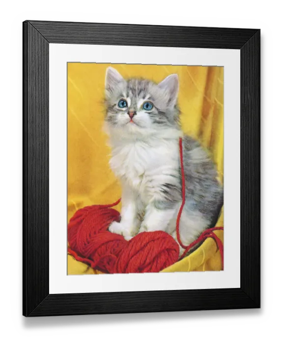 Framed Print : Grey Kitten With Yarn Framed Print : Grey Kitten With Yarn