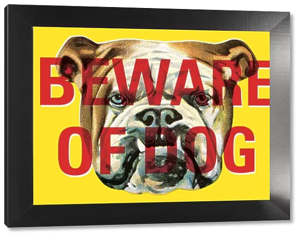 Bulldog: beware of dog