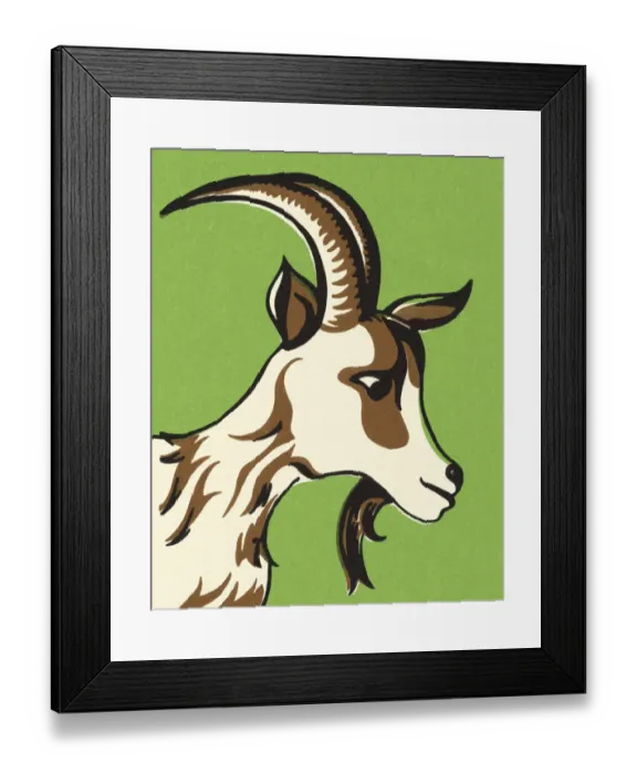 Framed Print : Goat with Horns Framed Print : Goat with Horns