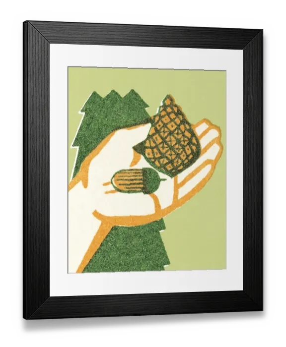 Framed Print : Pinecone and Acorn in a Hand Framed Print : Pinecone and Acorn in a Hand
