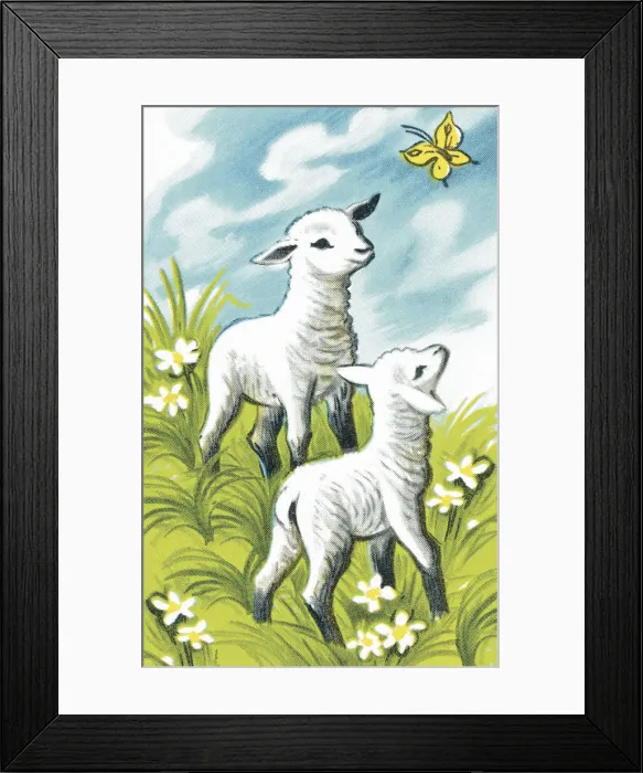Framed Print : Two Little Lambs Framed Print : Two Little Lambs