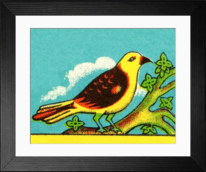 Framed Print : Yellow Bird Framed Print : Yellow Bird