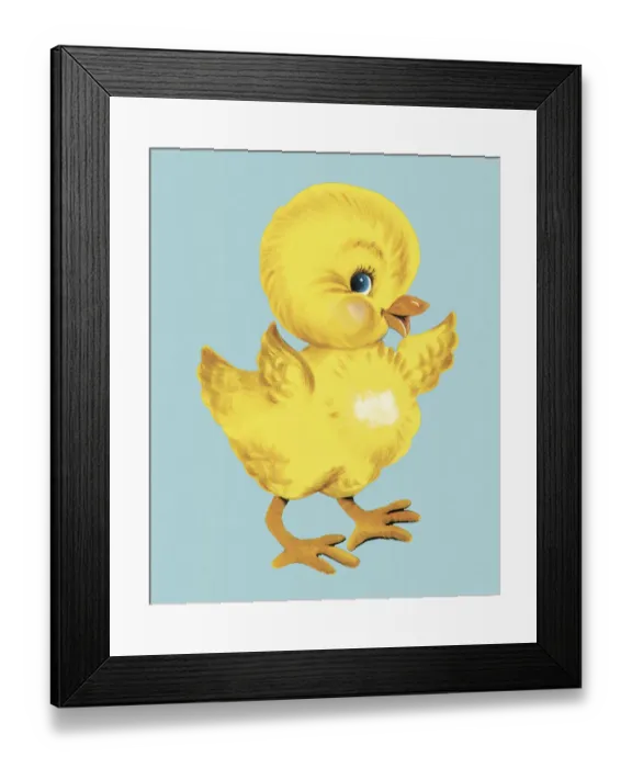 Framed Print : Baby Chick Framed Print : Baby Chick