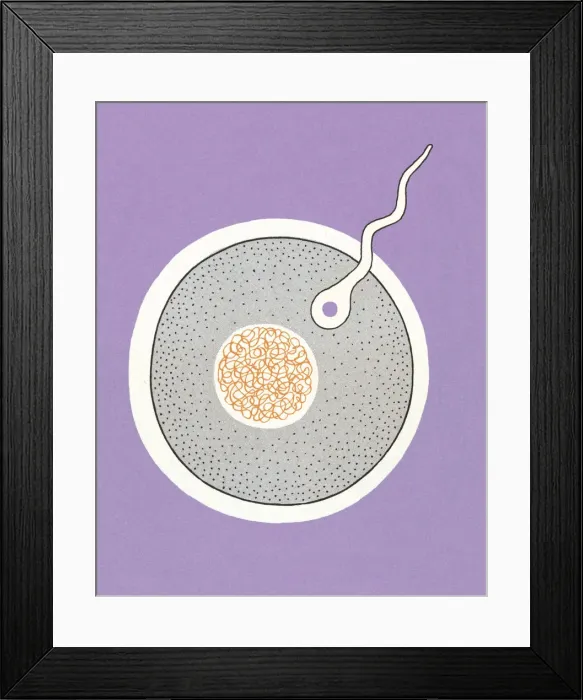 Framed Print : Sperm Entering Egg Framed Print : Sperm Entering Egg